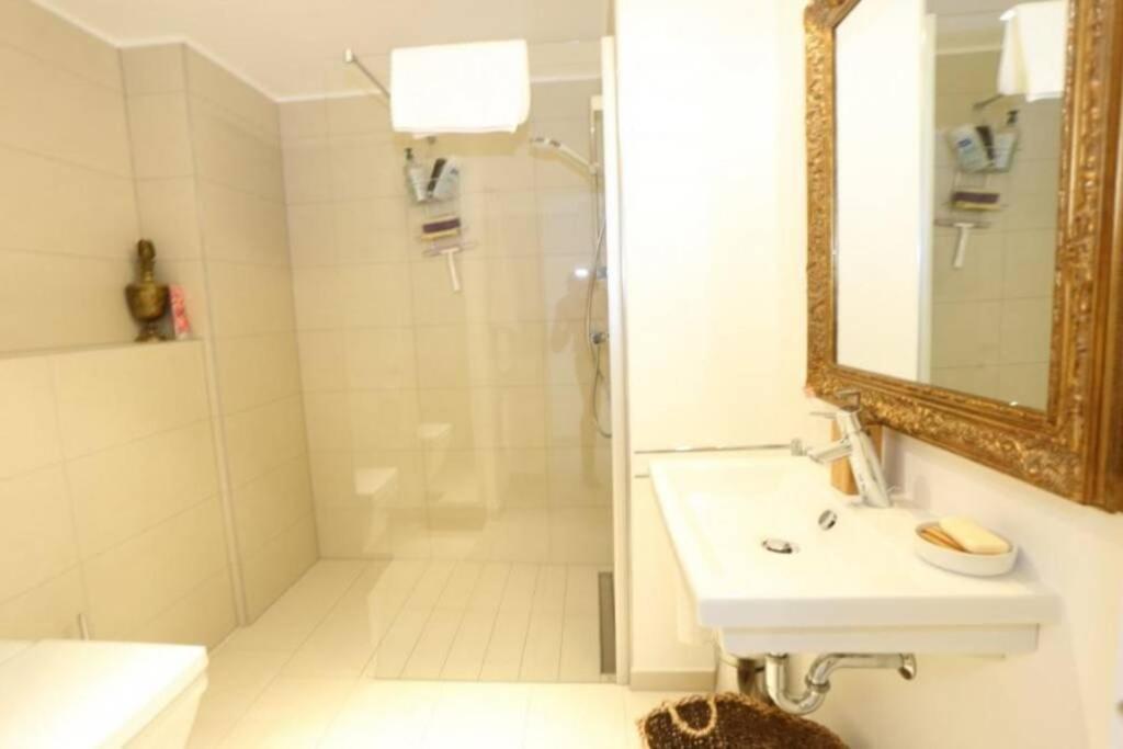 Large Family Retro Flat In City Center- Large Terrace & Garden View, Free Parking Luxembourg Luaran gambar