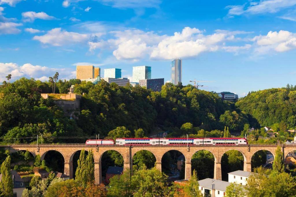 Large Family Retro Flat In City Center- Large Terrace & Garden View, Free Parking Luxembourg Luaran gambar