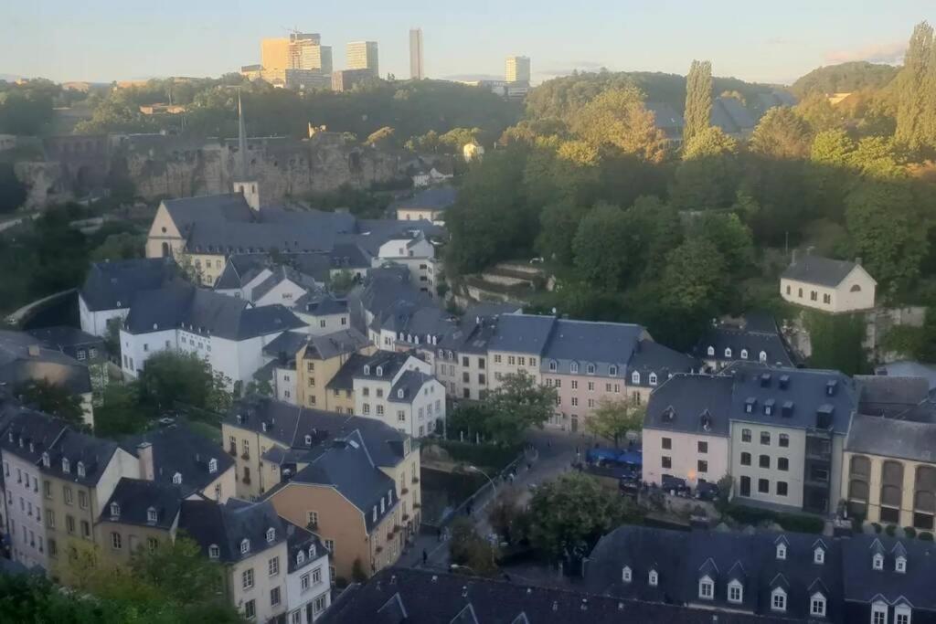 Large Family Retro Flat In City Center- Large Terrace & Garden View, Free Parking Luxembourg Luaran gambar