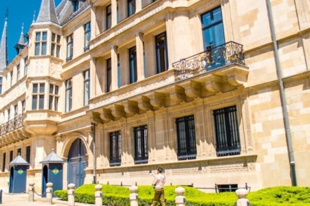 Large Family Retro Flat In City Center- Large Terrace & Garden View, Free Parking Luxembourg Luaran gambar